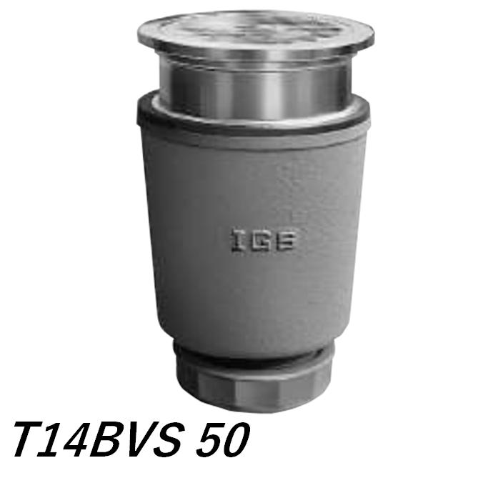 伊藤鉄工 T14BVS 50 差込型 ステンレス製目皿、枠付き 流しトラップ
