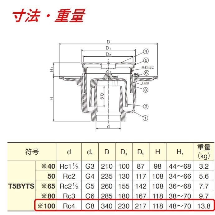 伊藤鉄工 T5BYTS100簡易共栓付床排水トラップ サイズ100 T5BYTS IGS_2