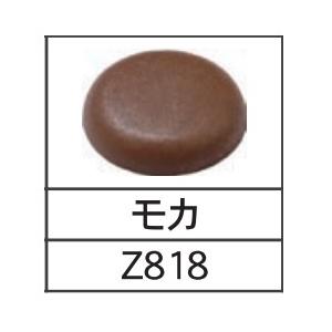 ねぶねぶ様 リクエスト 6点 まとめ商品 ネジ キャップ 樹脂 20個 Zキャップ Zワッシャー セット