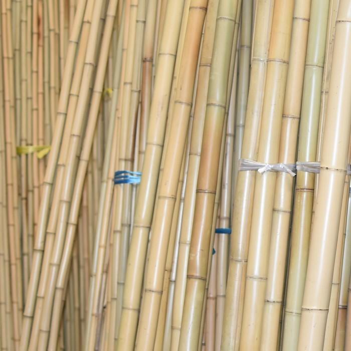白竹（さらし竹）2メートル 7分 1束（80本入り） |  | 02