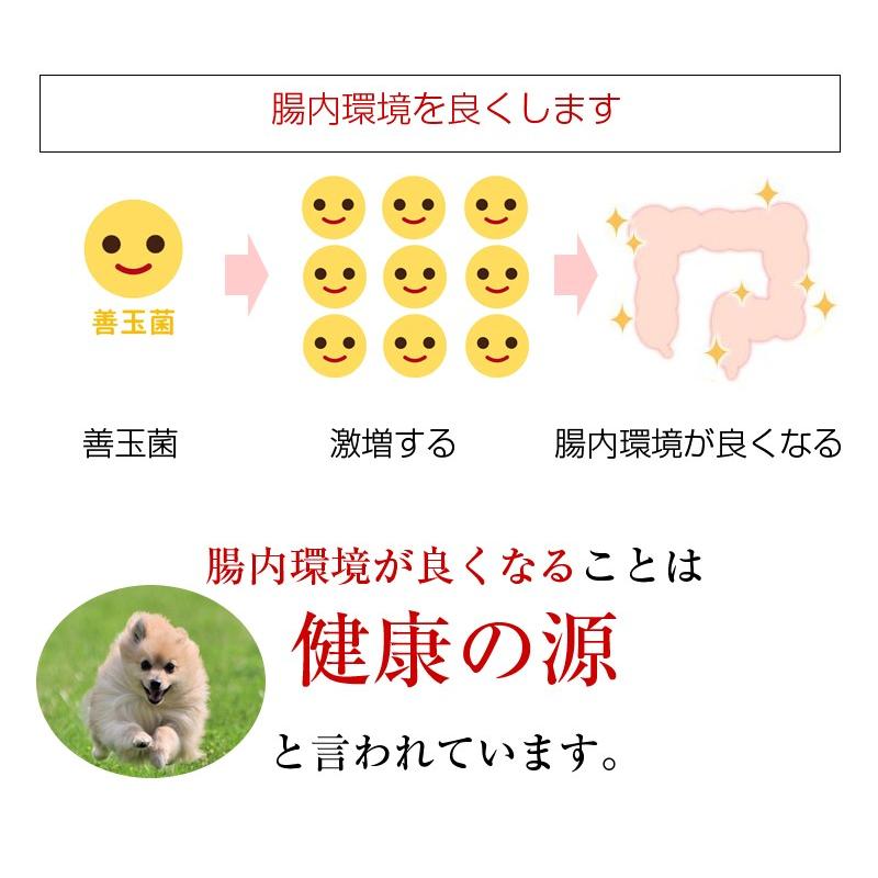 ペット用 バイオ発酵濃縮液 酵素ドリンク サプリ 犬用 猫用 ケイ素 発酵 バイオ 飲み物 Biopet イメージライフ 通販 Yahoo ショッピング