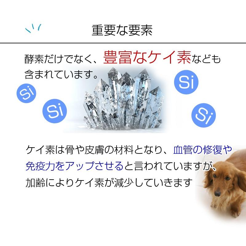 ペット用 バイオ発酵濃縮液 酵素ドリンク サプリ 犬用 猫用 ケイ素 発酵 バイオ 飲み物 Biopet イメージライフ 通販 Yahoo ショッピング