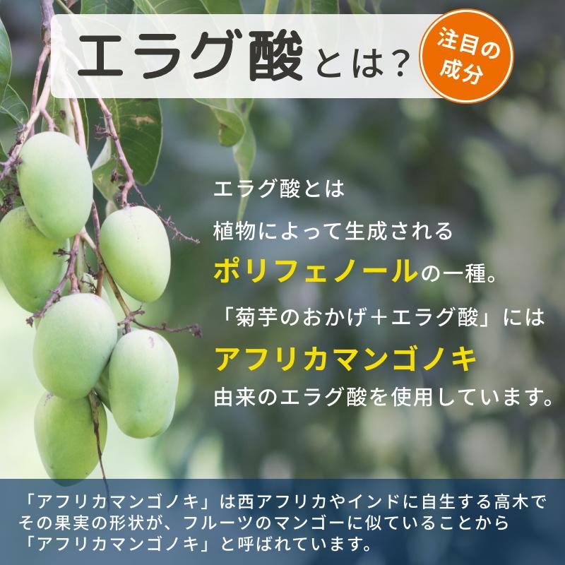 最安値！！きくいも  ダイエット 糖尿病 薬 オーガニック 健康食品 茄子 ダイエット サラダ 健康 体重 肥満 メタボリックシンドローム 体脂肪 便秘 ヘルシー ノンカロリー 無農薬 有機栽培 有機肥料 断食 ビーガン 玄米菜食 自然食 一物全体食 旬野菜 食物 食べ物 食品 ご飯 アスリート 食事 台所 キッチン 大根 人参 ピーマン 唐辛子 紫蘇  ゴーヤ 冬瓜 トマト ねぎ 菊芋のおかげ＋エラグ酸 機能性表示食品 30日分 血糖値 脂肪 肥満気味