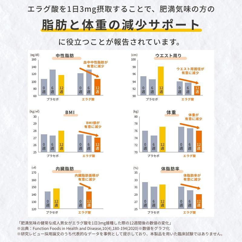 菊芋のおかげ+エラグ酸（粒タイプ）30日分 血糖値 脂肪 イヌリン