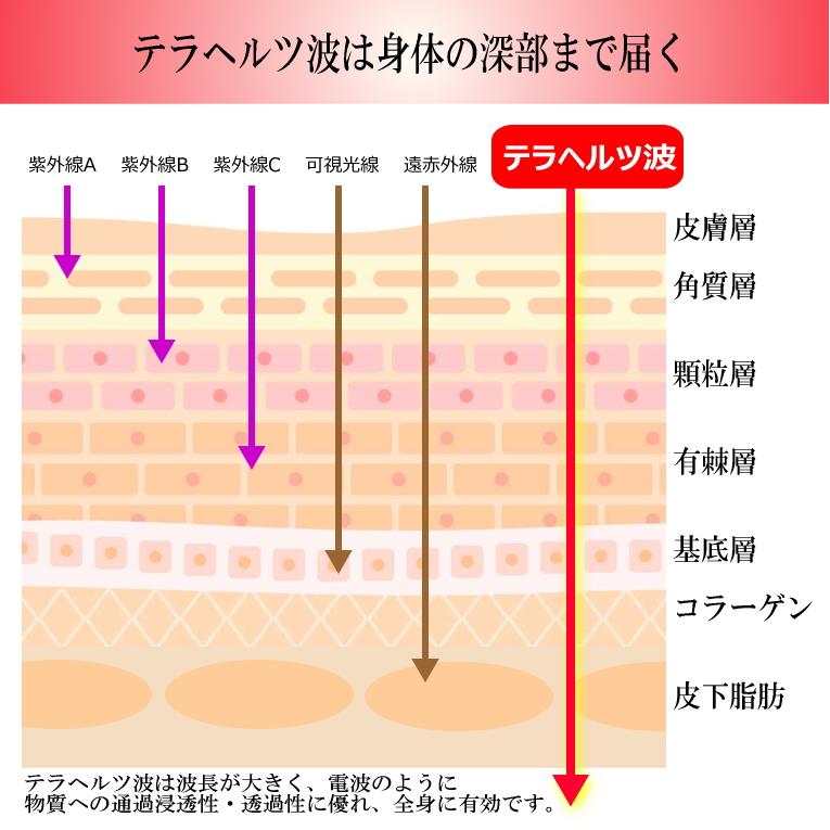 送料無料】お得な2個セット テラヘルツ波 TBパワーパッチ 20枚入り 肩