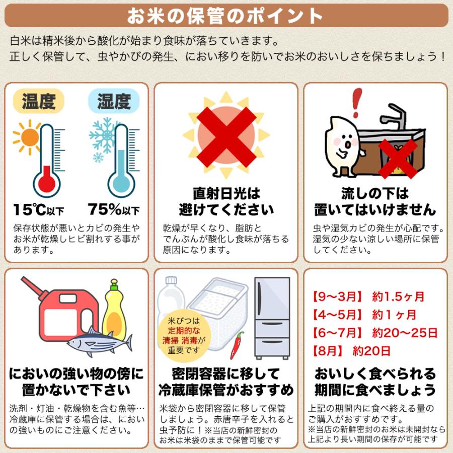 コシヒカリ 新潟産コシヒカリ 山並 令和7年産 5kg お米 精米 送料無料