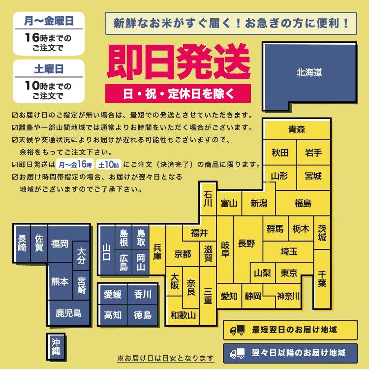 お米 5kg 新潟産コシヒカリ 山並 令和5年産 送料無料 （北海道、九州、沖縄除く）｜imagi｜08