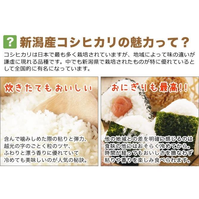 お米 5kg 新潟産コシヒカリ 山並 令和5年産 送料無料 （北海道、九州、沖縄除く）｜imagi｜04