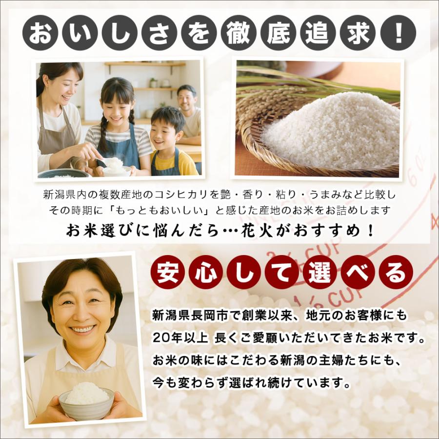 コシヒカリ 令和7年産 新潟産 花火 10kg(5kg×2袋) 米 送料無料