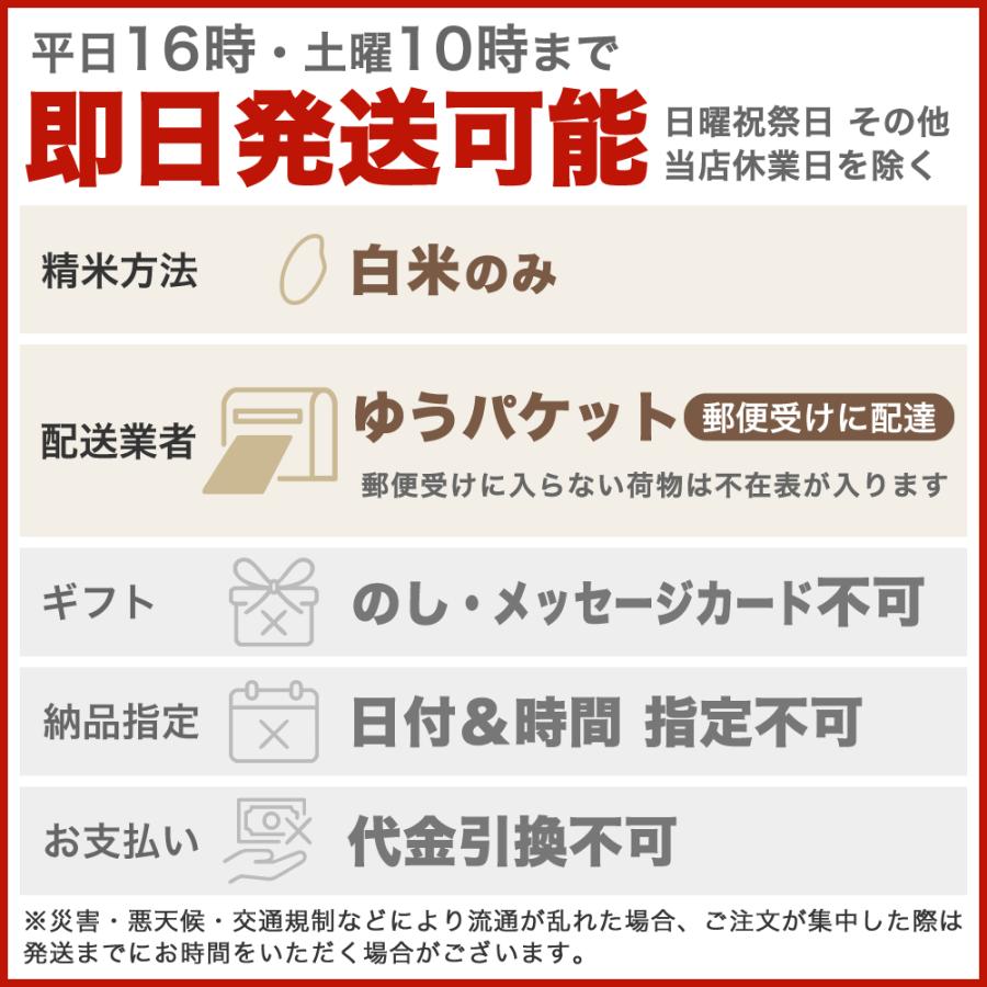 ミルキークイーン 令和7年産 新潟産 お試し 300g×2袋 送料無料 ゆう