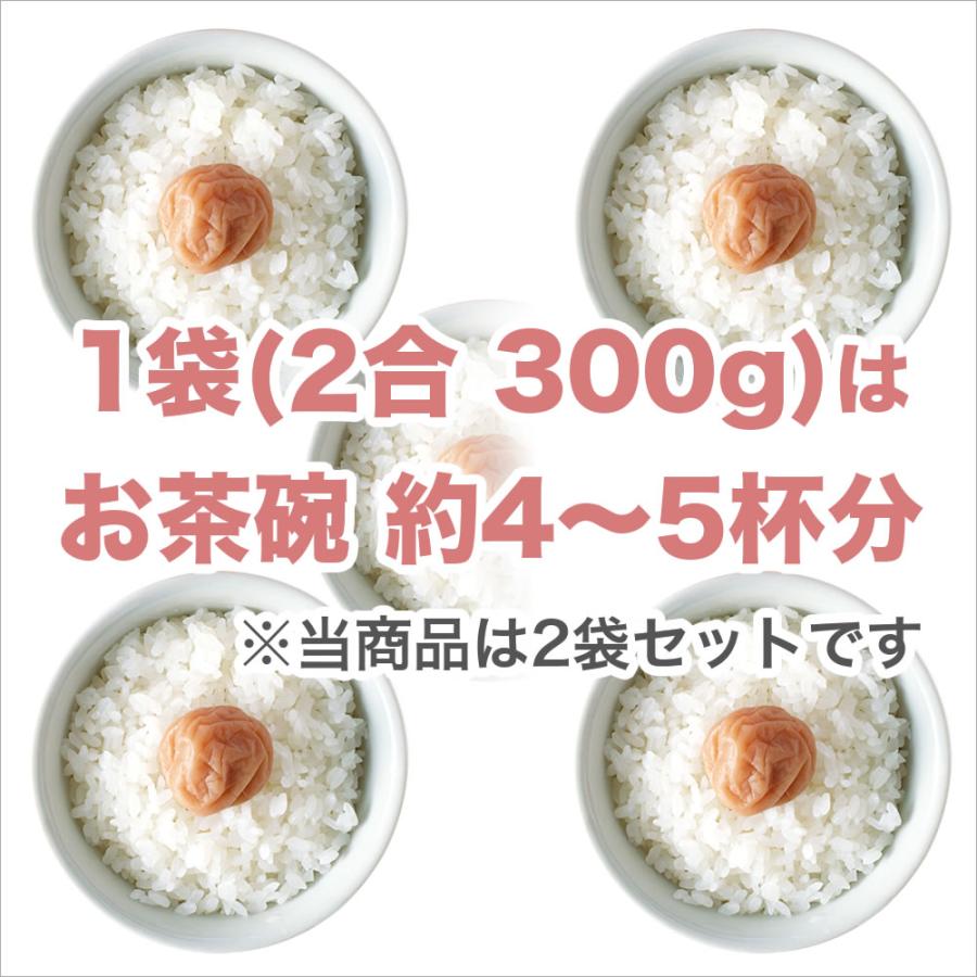 ミルキークイーン 令和7年産 新潟産 お試し 300g×2袋 送料無料 ゆう