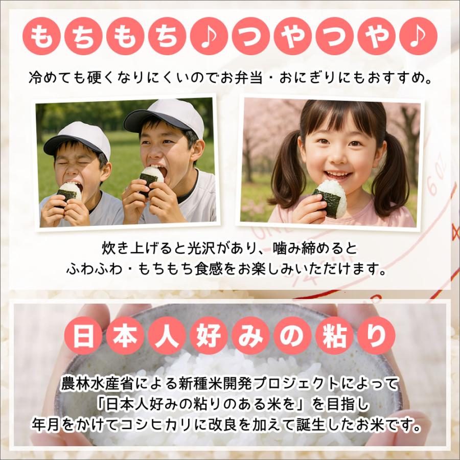 ミルキークイーン 令和7年産 新潟産 5kg 米 もちもち食感 送料無料