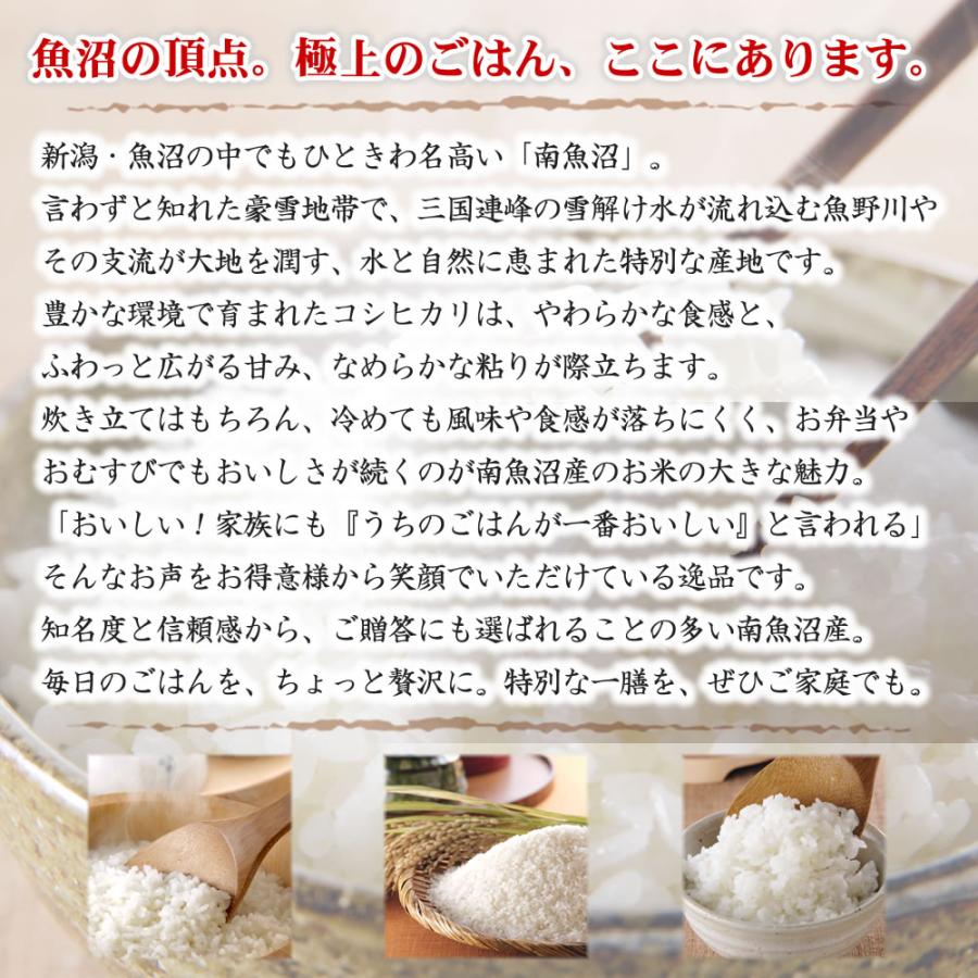 コシヒカリ 令和7年産 新潟県 南魚沼産 5kg 米 : お米プラザ新潟Yahoo