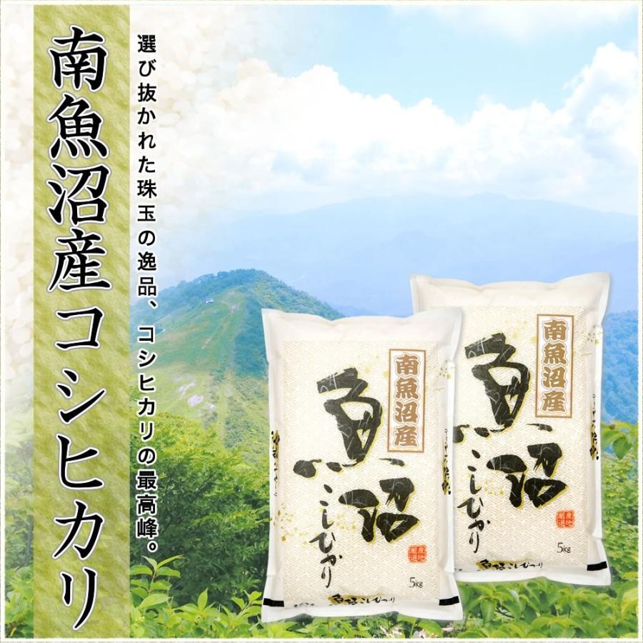 コシヒカリ 令和7年産 新潟県 南魚沼産 10kg(5kg×2袋) 米 : お米プラザ