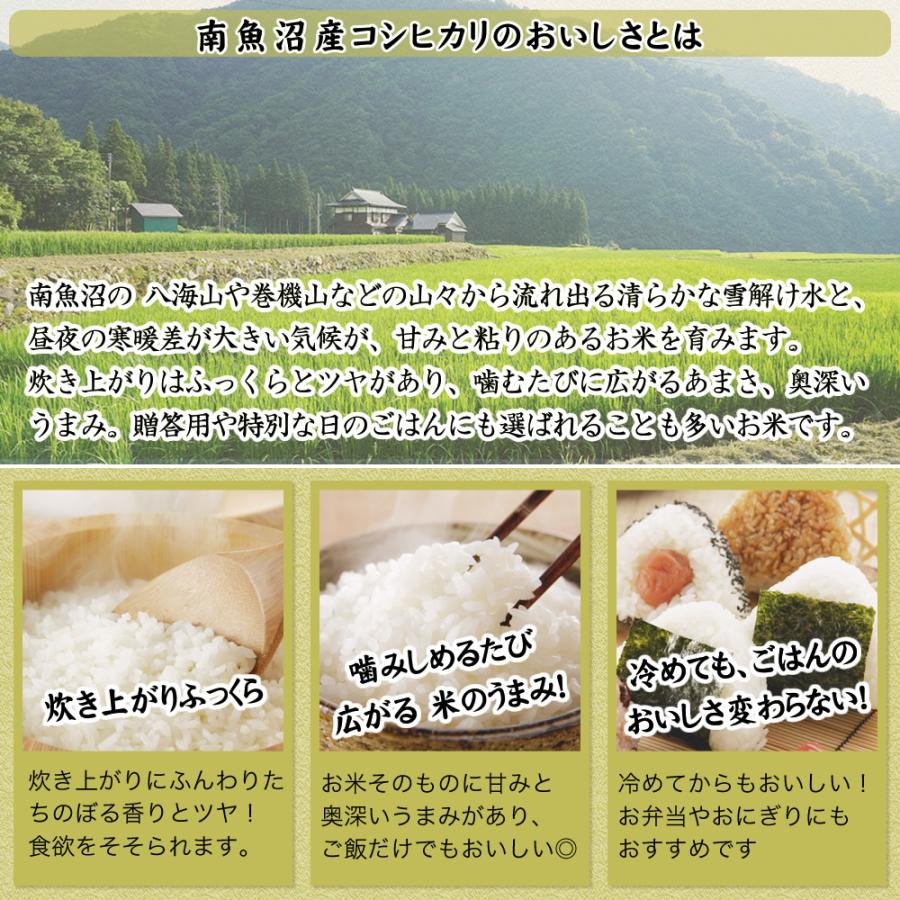 コシヒカリ 令和7年産 新潟県 南魚沼産 10kg(5kg×2袋) 米 : お米プラザ