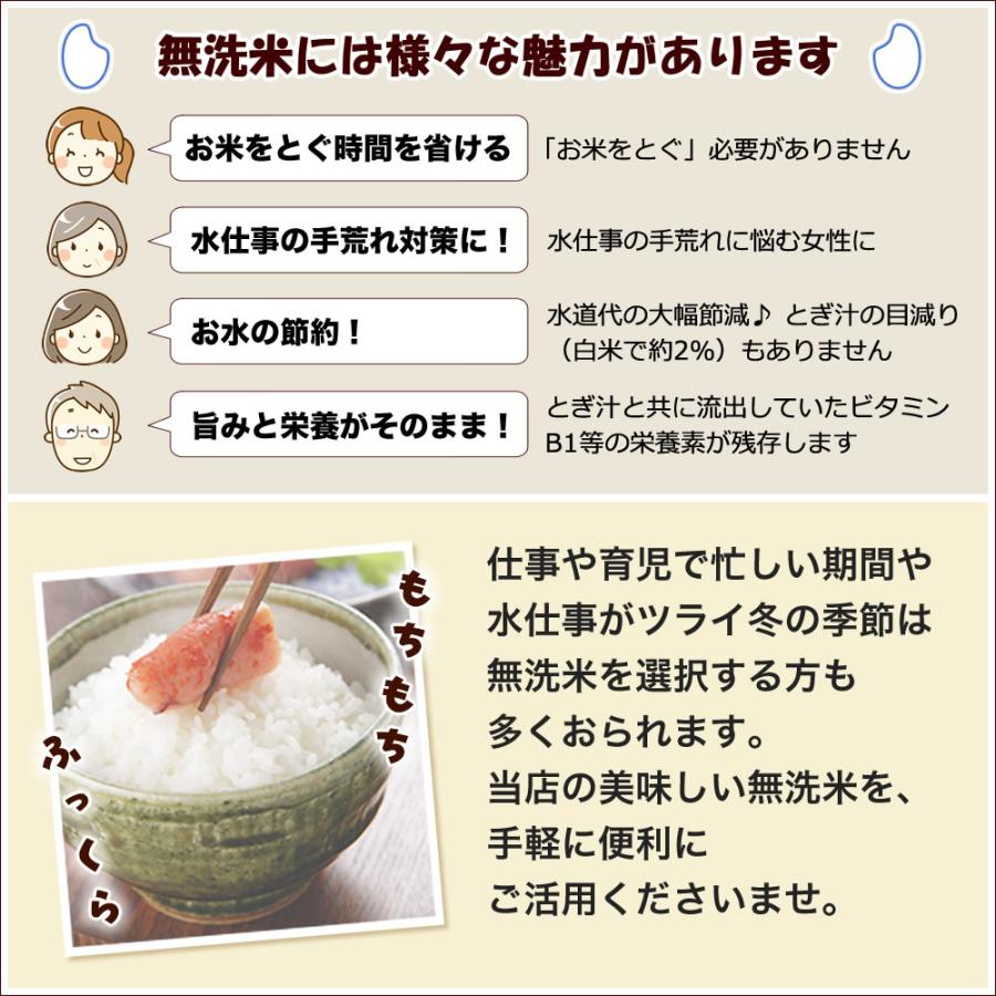 コシヒカリ 無洗米 南魚沼産コシヒカリ 吟精 4kg 令和7年産 (2kg×2袋