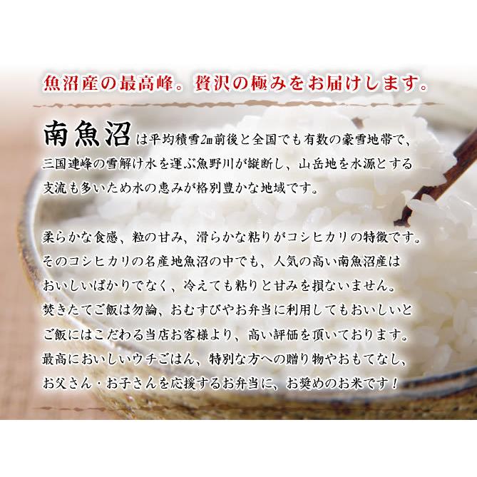 無洗米 10kg 南魚沼産コシヒカリ 吟精 令和3年産 (2kg×5袋) 送料無料 