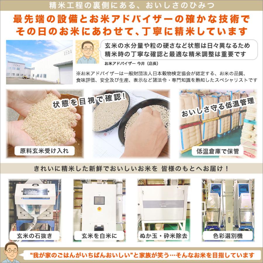 コシヒカリ 新潟産コシヒカリ 山並 令和7年産 10kg(5kg×2袋) お米 精米