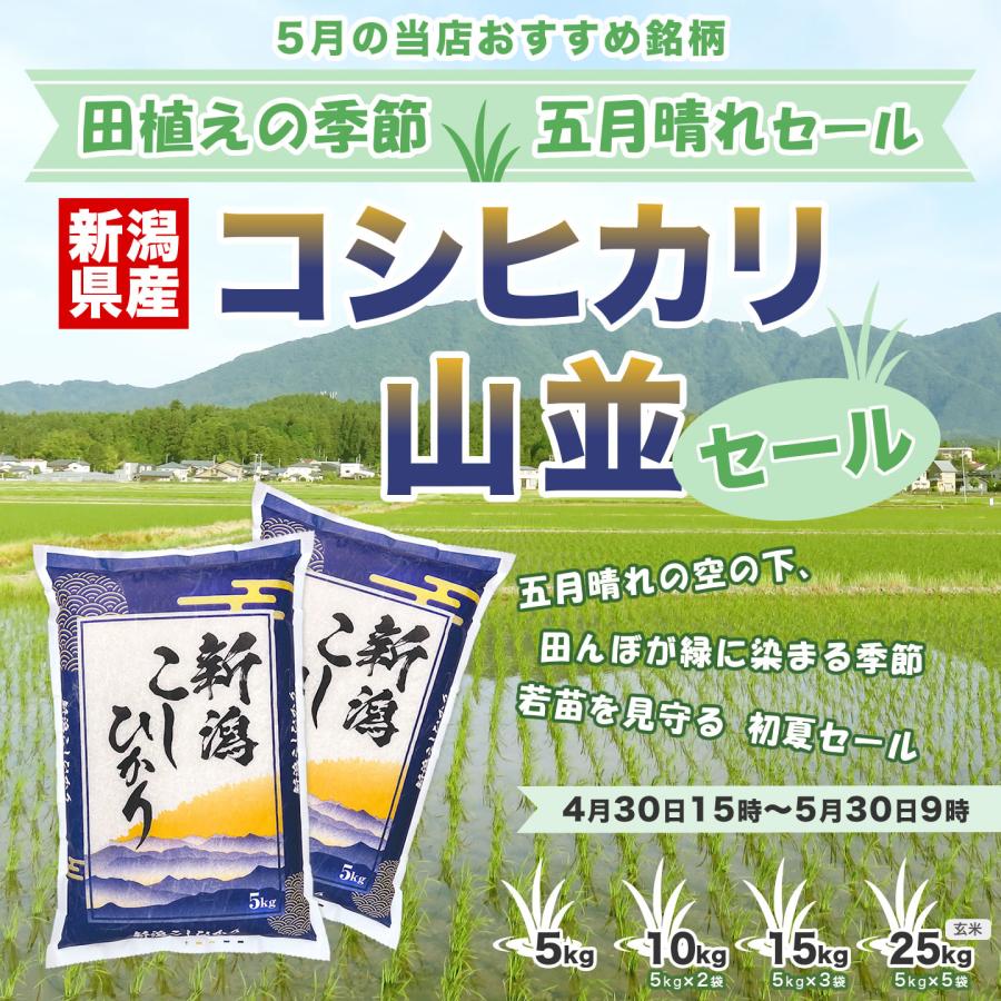 コシヒカリ 新潟産コシヒカリ 山並 令和7年産 10kg(5kg×2袋) お米 精米