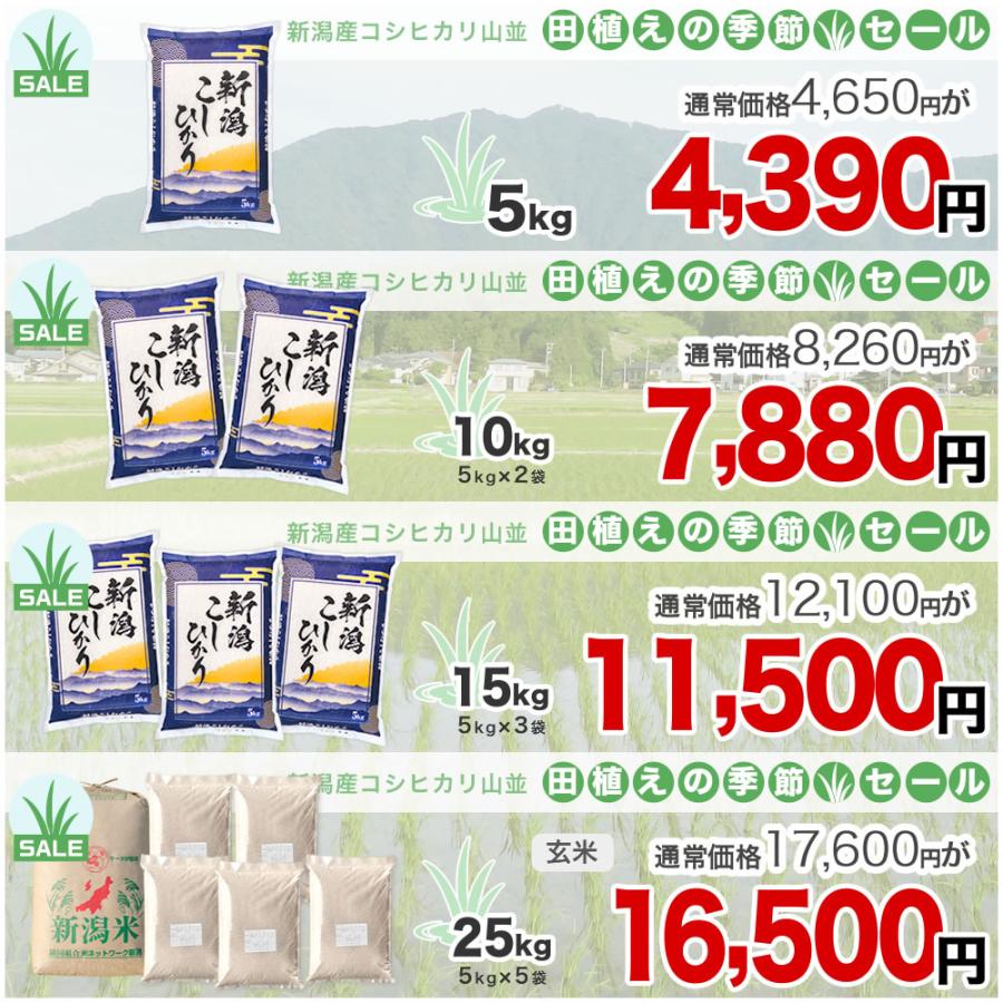 コシヒカリ 新潟産コシヒカリ 山並 令和7年産 10kg(5kg×2袋) お米 精米