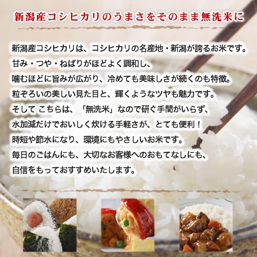 【無洗米】令和7年産　新潟コシヒカリ　白米5kg×２個★農家直送★色彩選別済03 コシヒカリ 米 5Kg 新潟 令和7年産 白米 精米 単一原料 新潟県産