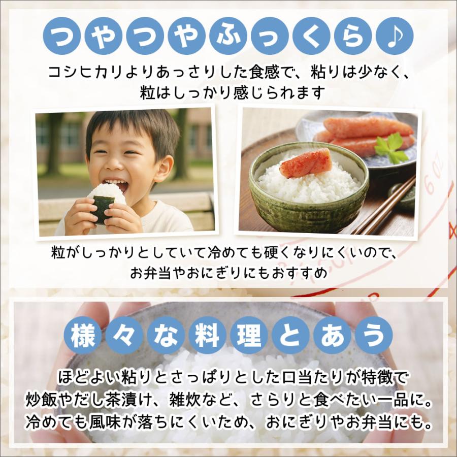 こしいぶき 令和7年産 新潟産 お試し 300g×2袋 送料無料 ゆうパケット