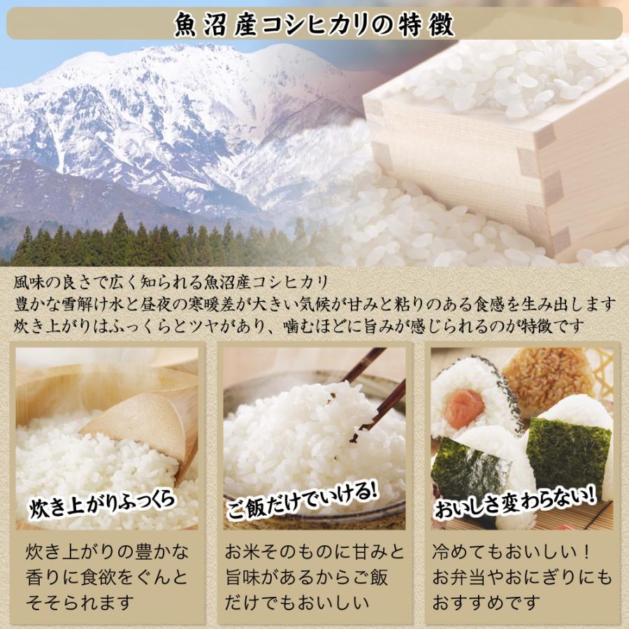 コシヒカリ 令和7年産 産直 魚沼産 10kg(5kg×2袋) 米 新潟産 送料無料