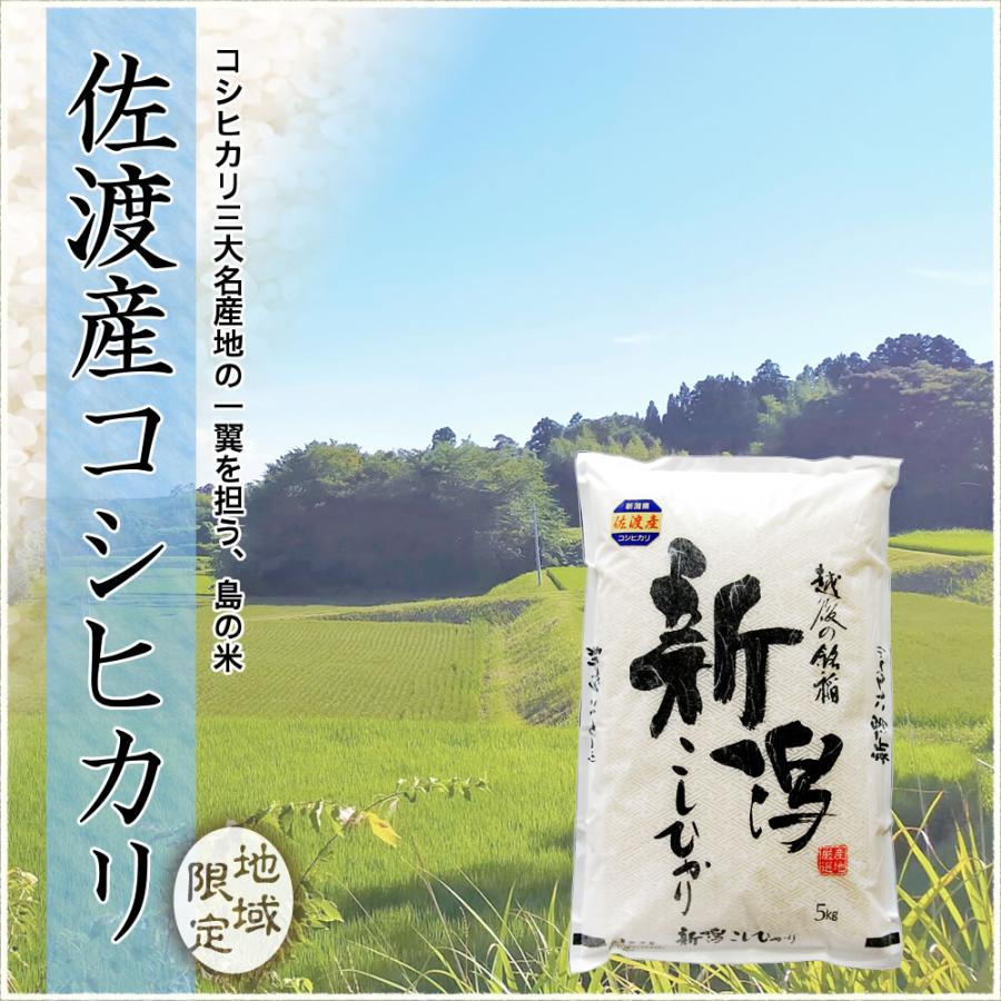 コシヒカリ 令和7年産 新潟県 佐渡産 10kg(5kg×2袋) 米 送料無料 