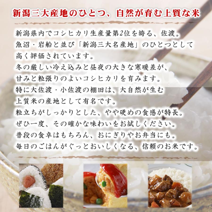 コシヒカリ 令和7年産 新潟県 佐渡産 10kg(5kg×2袋) 米 送料無料