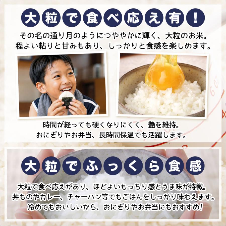 こしいぶき 数量限定 新潟県産つきあかり5kg ＋ 新潟県産こしいぶき5kg