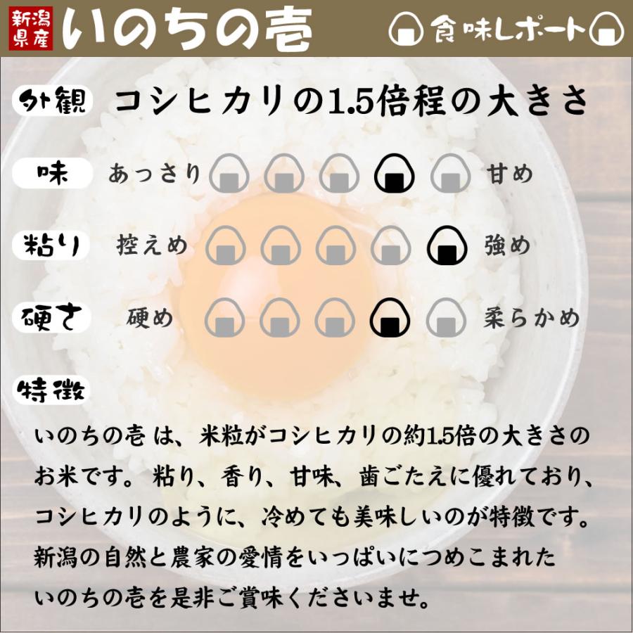 令和7年産 新潟産 いのちの壱 5kg 米 : お米プラザ新潟Yahoo!店 - 通販
