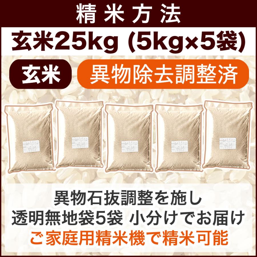 コシヒカリ 令和7年産 新潟県 岩船産 25kg(5kg×5袋) 玄米 送料無料