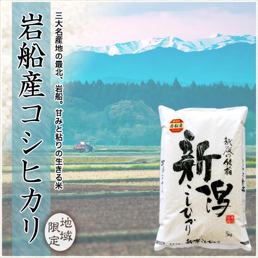 コシヒカリ 令和7年産 新潟県 岩船産 25kg(5kg×5袋) 玄米 送料無料