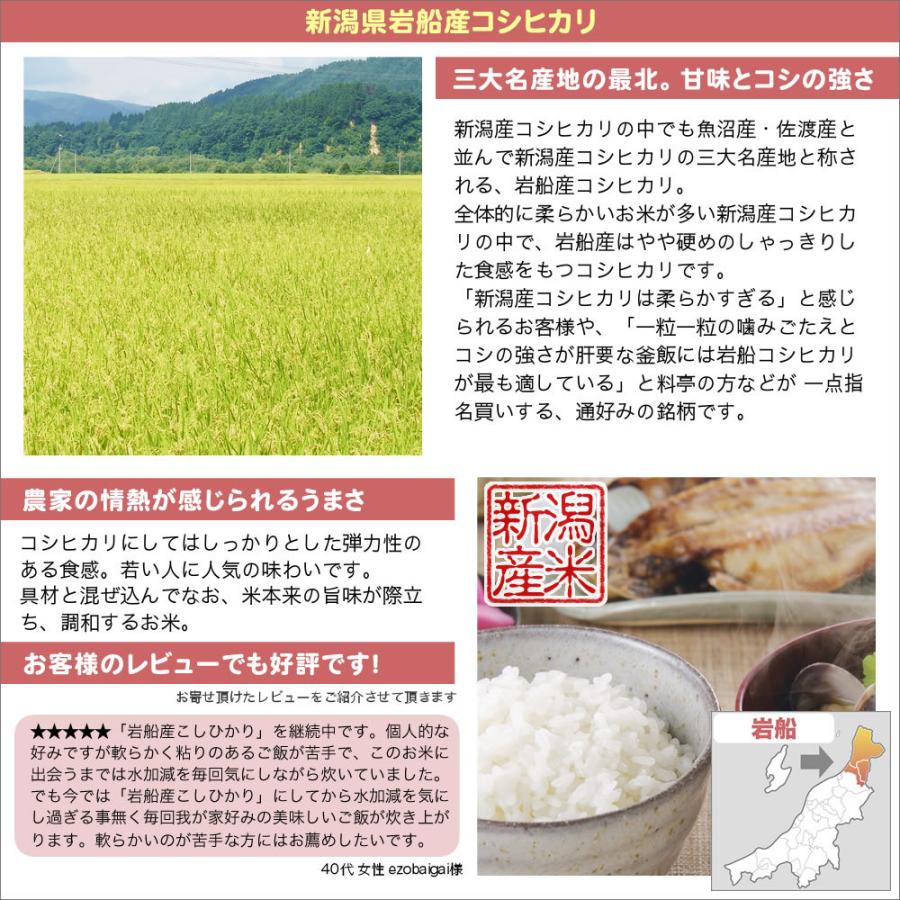コシヒカリ 令和7年産 新潟県 岩船産 25kg(5kg×5袋) 玄米 送料無料