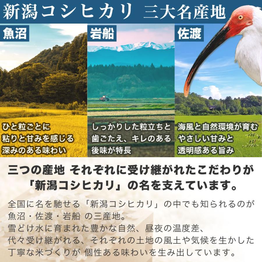 コシヒカリ 令和7年産 新潟県 岩船産 25kg(5kg×5袋) 玄米 送料無料