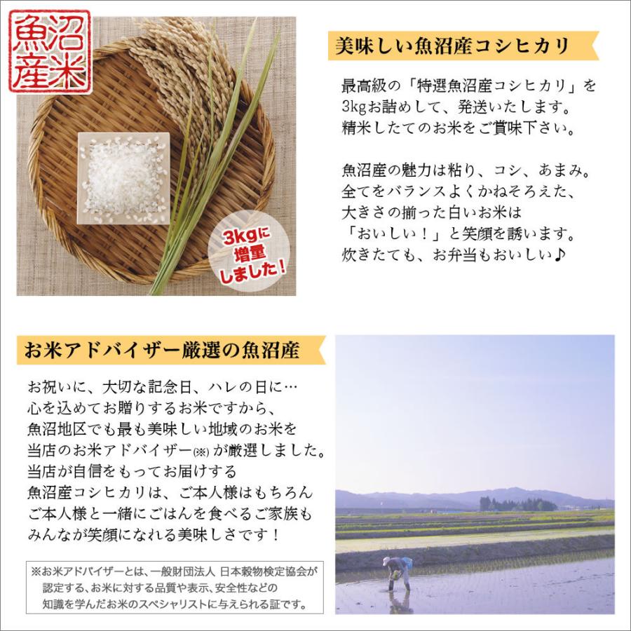 コシヒカリ 名入れ可能 お米の感謝状 令和7年産 新潟 米 魚沼産 