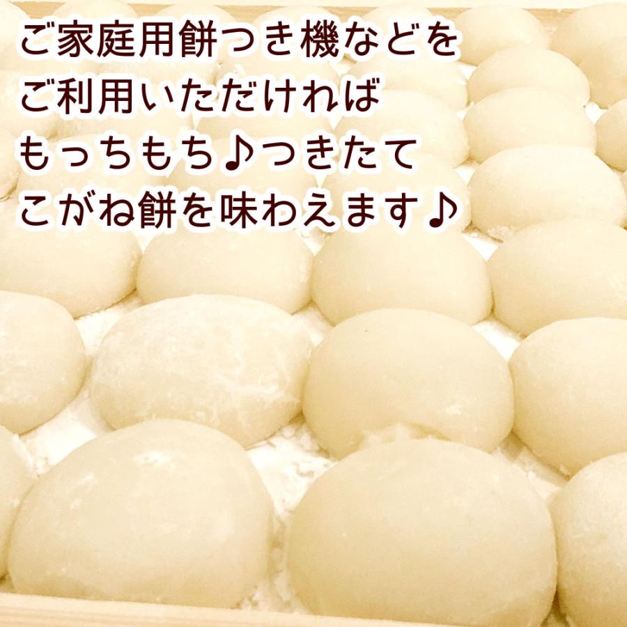 こがねもち 令和7年産 新潟産 こがねもち米 お試し 300g×2袋 送料無料 
