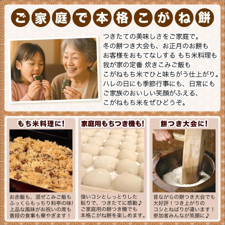 こがねもち 令和7年産 新潟産 こがねもち米 お試し 300g×2袋 送料無料 