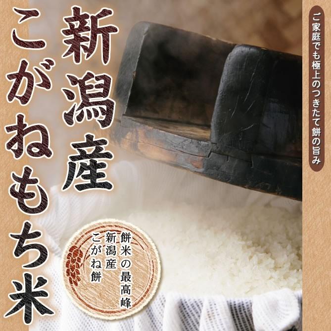 白米 1kg こがねもち米 令和5年産 新潟産 送料別｜imagi｜02