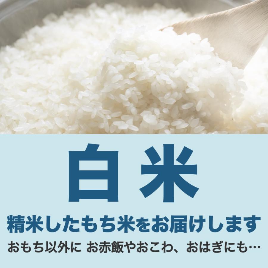 食品 もち米 5kg 3袋 15kg