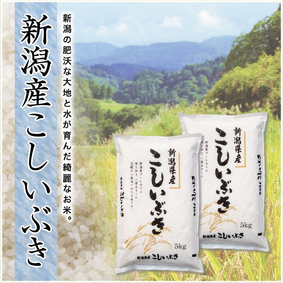 お米 10kg こしいぶき 令和5年産 新潟産 5kg×2袋 送料無料 （北海道、九州、沖縄除く）｜imagi｜02