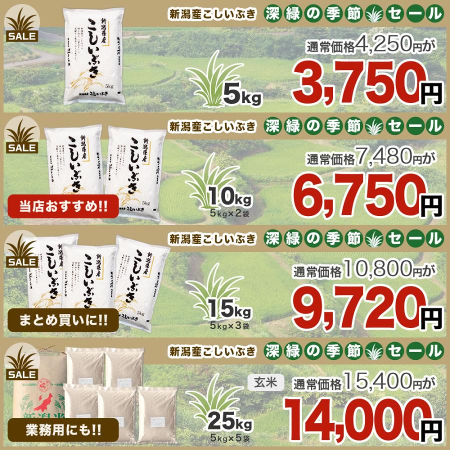 こしいぶき 令和7年産 新潟産 10kg(5kg×2袋) 米 盛夏セール : お米