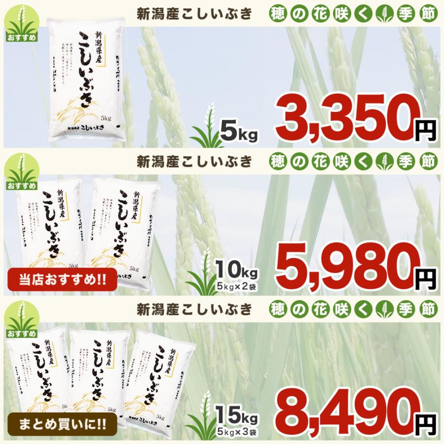 こしいぶき 令和7年産 新潟産 10kg(5kg×2袋) 米 8月のおすすめ : お米