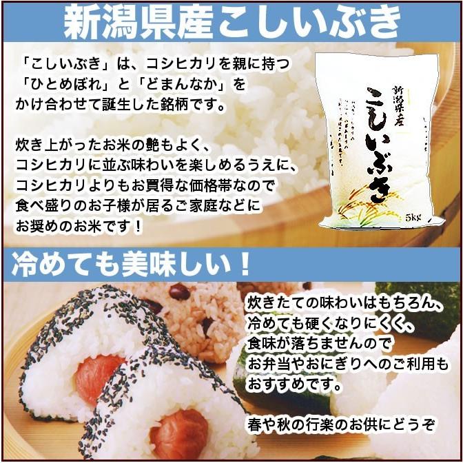 お米 10kg こしいぶき 令和5年産 新潟産 5kg×2袋 送料無料 （北海道、九州、沖縄除く）｜imagi｜04