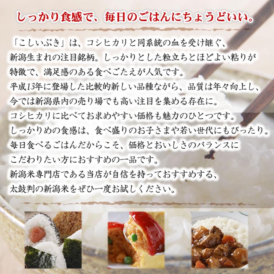 こしいぶき 令和7年産 新潟産 10kg(5kg×2袋) 米 : お米プラザ新潟Yahoo