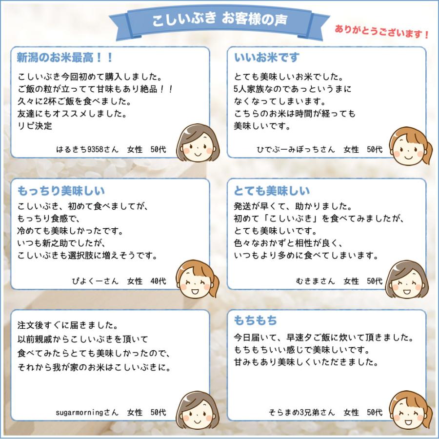 こしいぶき 令和7年産 新潟産 10kg(5kg×2袋) 米 : お米プラザ新潟Yahoo