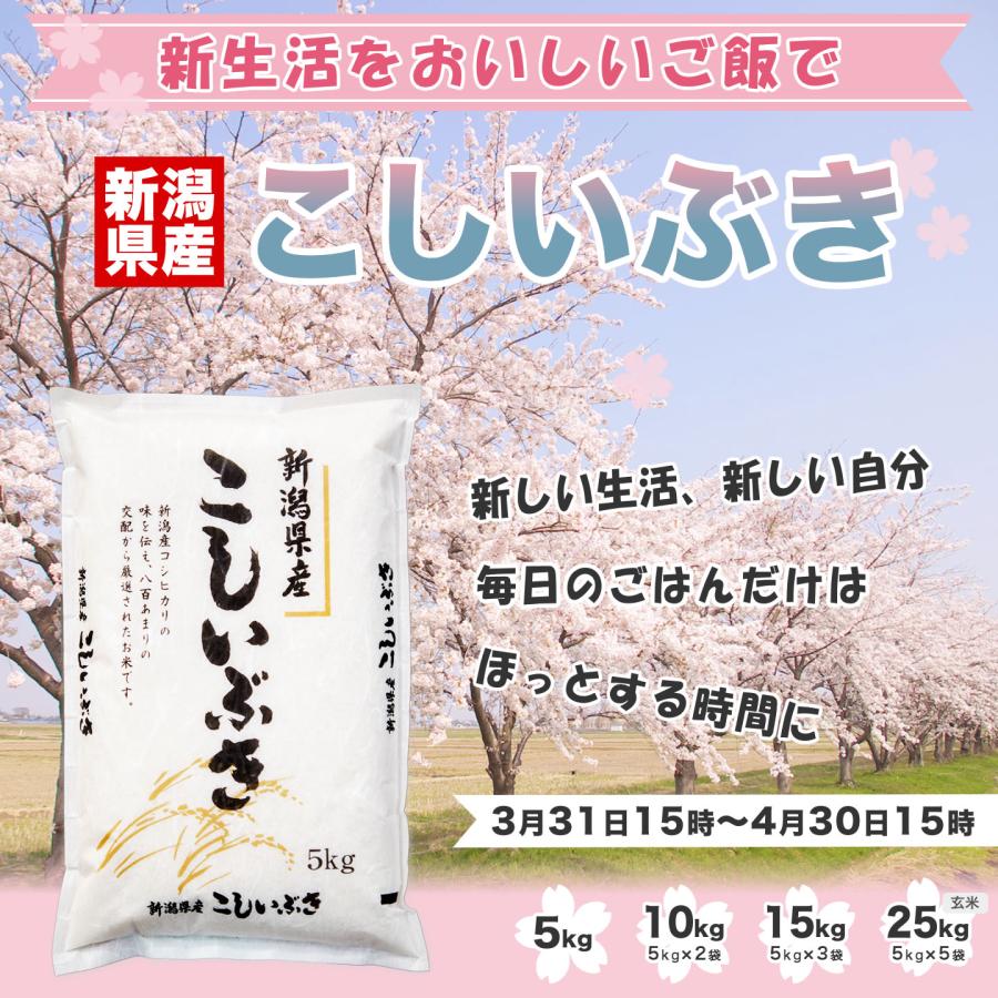 米15キロ⑧ 【公式通販】