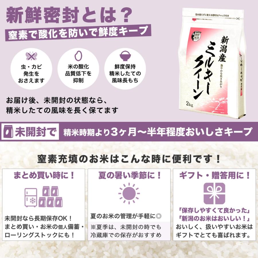 令和7年産 ミルキークイーン種子 4キロ 消毒済み 芽出し済み 種籾 令和