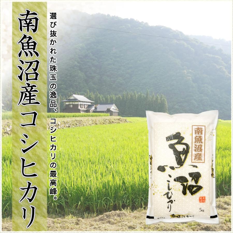 コシヒカリ 令和7年産 新潟県 南魚沼産 25kg(5kg×5袋) 玄米 : お米