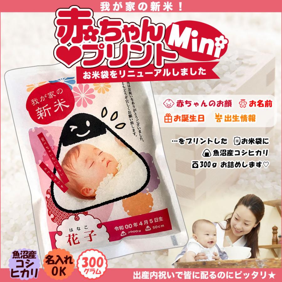 新米 抱っこできる赤ちゃんプリントmini 300g 11袋 令和4年産 魚沼産コシヒカリ 送料無料 北海道 九州 沖縄除く Pp Mini300 10set お米プラザ新潟yahoo 店 通販 Yahoo ショッピング